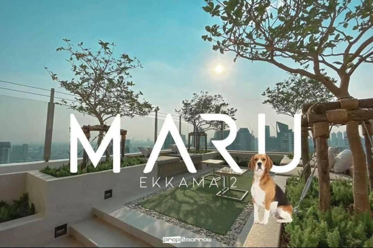 ให้เช่า คอนโด : MARU EKKAMAI 2 (มารุ เอกมัย 2)